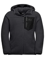 Kurtki i płaszcze dla chłopców - Jack Wolfskin Unisex dziecięca kurtka Ice Cloud Hood Jacket K Phantom 92 - miniaturka - grafika 1