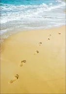 Plakaty - Galeria Plakatu, Plakat, Walking. Ślady stóp na plaży, 40x60 cm - miniaturka - grafika 1
