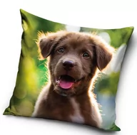 Pościel dla dzieci - Poszewka 40x40 z psem Piesek Velvet - miniaturka - grafika 1