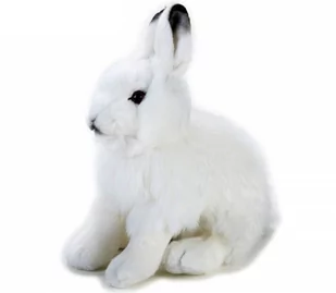 National Geographic Zając polarny - Maskotki i pluszaki - miniaturka - grafika 1