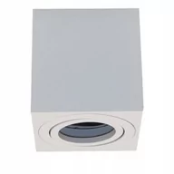 Oprawy, klosze i abażury - Oprawa oświetleniowa sufitowa natynkowa Ecolight 35 W GU10 230V Biała - miniaturka - grafika 1