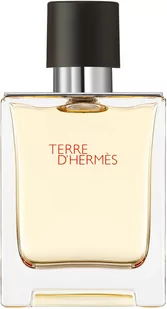 Woda toaletowa dla mężczyzn Hermes Terre D`Hermes Edt 50 ml (3346130009610) - Wody i perfumy męskie - miniaturka - grafika 1
