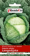 Nasiona i cebule - Kapusta Włoska Langedijska 2g PlantiCo - miniaturka - grafika 1