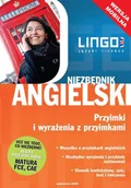 E-booki - języki obce - Niezbędnik angielski. Przyimki i wyrażenia z przyimkami. Wersja mobilna - miniaturka - grafika 1