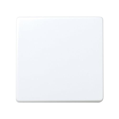 Biały przełącznik