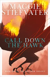 Scholastic Call Down the Hawk - Pozostałe książki - miniaturka - grafika 1