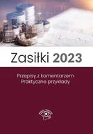 E-booki - biznes i ekonomia - Zasiłki 2023 - miniaturka - grafika 1