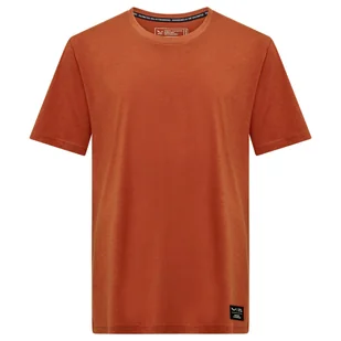 Koszulka męska Salewa Eagle Logo Patch T-Shirt Bombay Brown L - Koszulki męskie - miniaturka - grafika 1