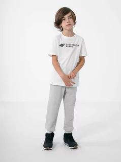 Odzież sportowa dziecięca - Spodnie dresowe joggery chłopięce - 4F - grafika 1