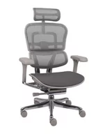 Fotele i krzesła biurowe - Ergonomiczny fotel biurowy Ergohuman 2 Elite Pro GT Grey - miniaturka - grafika 1