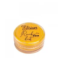 Odżywki do paznokci - Elisium Elisium Rainbow Dust Pyłek do paznokci Mustard 01 2,5g 41248-uniw - miniaturka - grafika 1