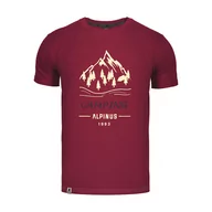 Odzież trekkingowa męska - Koszulka trekkingowa męska Alpinus Polaris bordowa - miniaturka - grafika 1