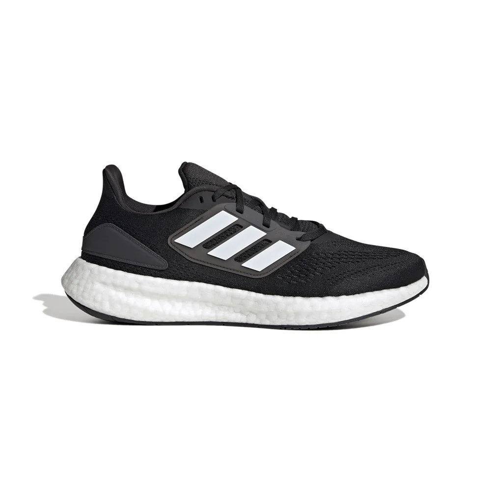 Pureboost 22
