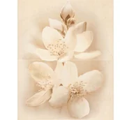 Płytki ceramiczne - Cersanit Dekor Diana Flower Glossy 40X50 - miniaturka - grafika 1