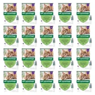 Artykuły przeciw pasożytom - Krople na pchły BAYER Advantage Duże koty 80 x 0.8 ml - miniaturka - grafika 1