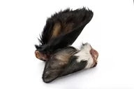 Przysmaki dla psów - Balto Balto Ucho wołowe z futrem 10szt - miniaturka - grafika 1