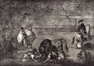 Plakaty - Plate C- The dogs let loose on the bull, Francisco Goya - plakat Wymiar do wyboru: 30x20 cm - miniaturka - grafika 1