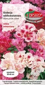 Nasiona i cebule - Nasiona Godecja wielkokwiatowa mieszanka 1g - Torseed - miniaturka - grafika 1