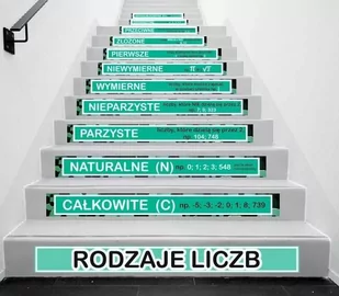 Naklejki na schody: Rodzaje liczb - Pomoce naukowe - miniaturka - grafika 1