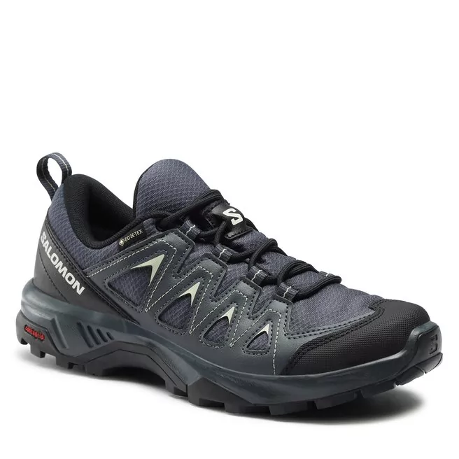 Trekkingi Salomon X Braze GORE-TEX L47180800 India Ink/Black/Desert Sage