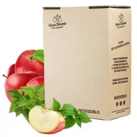 Soki i napoje niegazowane - Naturalny Sok z Pokrzywy i Jabłka Bomba Witamin 5L - miniaturka - grafika 1