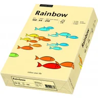 Papier do drukarek - Papier ksero A4 160g RAINBOW R06 kość słoniowa/chamois 250ark 88042283 - miniaturka - grafika 1