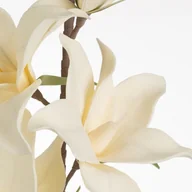 Sztuczne kwiaty - KWIAT FLORE 728 DŁ. 108 CM DŁ. Z KWIATAMI 67 CM ŚR. KWIAT 19 CM KREMOWY - miniaturka - grafika 1
