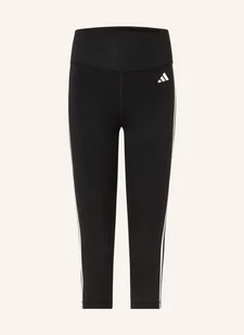 Adidas Legginsy Train Essentials schwarz - Legginsy - miniaturka - grafika 1