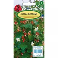 Nasiona i cebule - FASOLA OZDOBNA - miniaturka - grafika 1