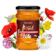 Miód - Skoczylas Miód Naturalny Wielokwiatowy 400 g Skoczylas SKO-030 - miniaturka - grafika 1