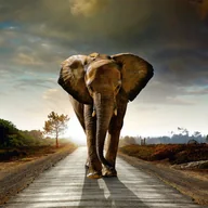 Fototapety - Fototapeta słoń beżowym,szarymIniebieskim - 360 x 270 cm - SANDERS & SANDERS - miniaturka - grafika 1