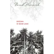 Felietony i reportaże - Drzewa w moim lesie - miniaturka - grafika 1