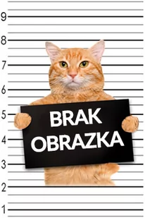 Epee, What Do You Meme? GRA FAMILIJNA - edycja polska - Gry planszowe - miniaturka - grafika 1