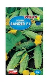 Nasiona i cebule - Ogórek gruntowy Sander - mieszaniec 5 g POLAN - miniaturka - grafika 1