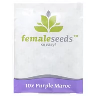 Nasiona i cebule - Nasiona konopi Female seeds - Purple Maroc (Fem.) 10szt. - miniaturka - grafika 1