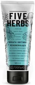 Odżywki do włosów - Barwa Five Herbs bogata odżywka regenerująca do włosów zniszczonych 180ml - miniaturka - grafika 1