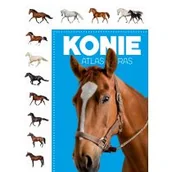 Poradniki hobbystyczne - praca zbiorowa Atlas ras Konie - miniaturka - grafika 1