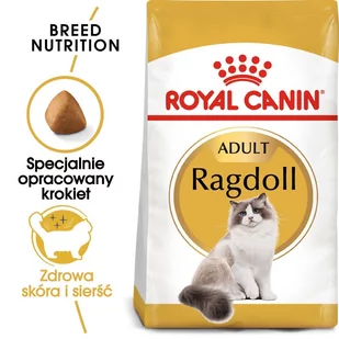 Royal Canin Ragdoll Adult 10 kg - Sucha karma dla kotów - miniaturka - grafika 1