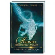 Fantasy - Asystent czarodziejki. Kroniki Rozdartego Świata. Tom 1 - miniaturka - grafika 1