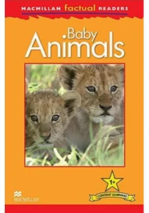 Macmillan Factual: Baby Animals 1+ Feldman Thea - Książki do nauki języka angielskiego - miniaturka - grafika 3