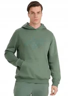 Bluzy męskie - Męska dresowa bluza z kapturem 4F M1980 41S zielony 3XL - miniaturka - grafika 1