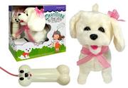 Zabawki interaktywne dla dzieci - producent niezdefiniowany Biały pies na smyczy Pudel pilot w kształcie kości 4888 - miniaturka - grafika 1