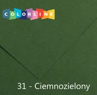 Szkolne artykuły papiernicze - Canson Karton rys. (C) 50x65 op.25 - c.zielony 31 - miniaturka - grafika 1