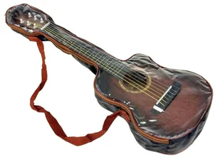 Gitara w pokrowcu - Instrumenty muzyczne dla dzieci - miniaturka - grafika 1