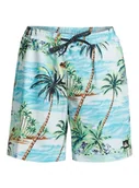 Spodenki damskie - Quiksilver Męskie szorty Surfsilk Mix Volley 17nb (1 szt.) - miniaturka - grafika 1