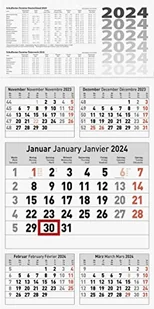 BRUNNEN 1070281004 5-Monatskalender Wandkalender 2024 1 Blatt = 5 Monate, aktueller Monat in der Mitte, darüber 2 Vormonate nebeneinander und 2 Folgemonate darunter 30 x 58,5 cm, einteilig Fond: grau - Pozostałe książki - miniaturka - grafika 1