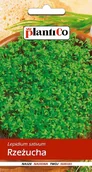 Nasiona i cebule - NASIONA Rzeżucha Ogrodowa 10g PLANTICO 408708 - miniaturka - grafika 1