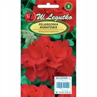 Nasiona i cebule - Nasiona Pelargonia rabatowa Gama F1 czerwona 0.05g - W.Legutko - miniaturka - grafika 1