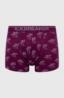 Bielizna sportowa męska - Icebreaker bielizna funkcyjna Merino Anatomica kolor fioletowy - miniaturka - grafika 1