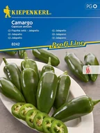 Nasiona i cebule - Papryka jalapeno chili CAMARGO ostra zielona nasiona Kiepenkerl - miniaturka - grafika 1